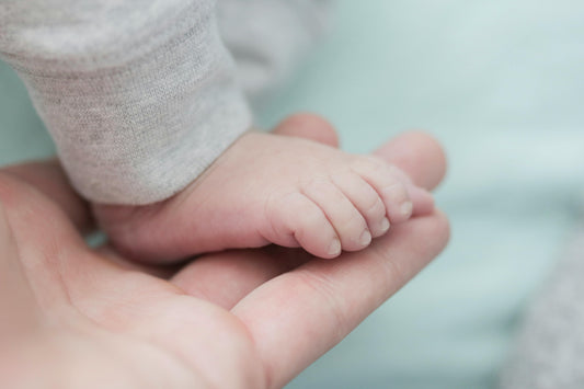 Chauffe Biberon Portable : Le Guide Complet pour les Parents